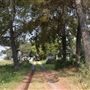 Sinclair Family Farm