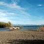 Lake Forest Beach