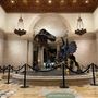 Museum of Natural History, Los Angeles
