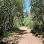 Bluff Lake Reserve