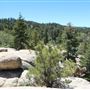 Camp Cedar Lake