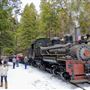 Yosemite Mountain Sugar Pine Railroad