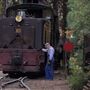 Yosemite Mountain Sugar Pine Railroad
