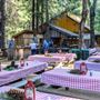 Yosemite Mountain Sugar Pine Railroad
