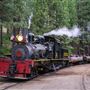 Yosemite Mountain Sugar Pine Railroad