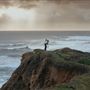 Coast Dairies State Beaches (Bonny Doon State Beach, Shark Fin State Beach, Laguna State Beach & Panther)