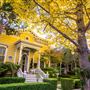 Walnut Avenue