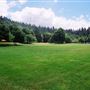 Roaring Camp Railroad