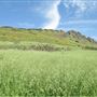 Wildwood Regional Park