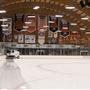Anaheim ICE - The Rinks