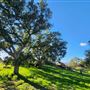 Sage Ranch Park