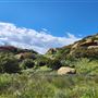 Rocky Peak Park