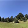 Browder Ranch