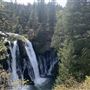 McArthur-Burney Falls Memorial State Park (SP)