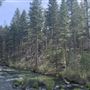 McArthur-Burney Falls Memorial State Park (SP)