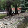 Railroad Park Resort and Dining Car Restaurant