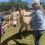 Wild Horse Sanctuary