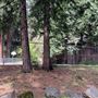 Mt. Shasta City Park