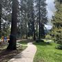Mt. Shasta City Park