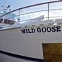 Wild Goose @ Newport Harbor - John Wayne's former Private Yacht - City Cruises