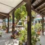 Casa Colibri (Hummingbird House)