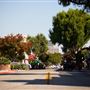 City of El Monte