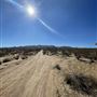 Joshua Tree Barren Landscape