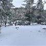 20 acres of Alpine mountainside with forests, granite and beautiful views