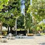 Pitcher Park