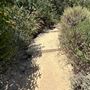 Staircase Beach @ Leo Carrillo State Park (SP) - CFC