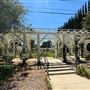 Lacy Park