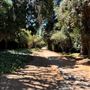 Lacy Park