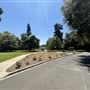 Lacy Park