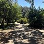 Lacy Park
