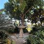 Huntington Library, Art Museum, and Botanical Gardens