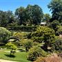 Huntington Library, Art Museum, and Botanical Gardens