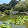 Huntington Library, Art Museum, and Botanical Gardens