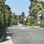 Huntington Library, Art Museum, and Botanical Gardens