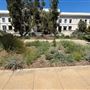 Huntington Library, Art Museum, and Botanical Gardens