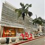 Rodeo Drive - Beverly Hills
