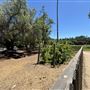 Los Encinos State Historic Park (SHP) adjacent to currently closed Lakeside Restaurant & Lounge