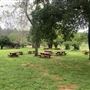 Shasta State Historic Park (SHP)