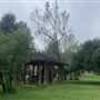 Shasta State Historic Park (SHP)