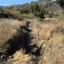 Malibu Creek State Park (SP)
