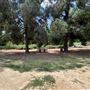 Sepulveda Basin Wildlife Preserve / Woodley Park