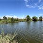 Sepulveda Basin Wildlife Preserve / Woodley Park