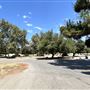 Sepulveda Basin Wildlife Preserve / Woodley Park