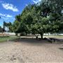 Woodley Park