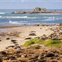 Año  Nuevo State Park (SP)