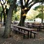 Nojoqui Falls Park